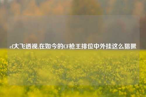 cf大飞透视,在如今的CF枪王排位中外挂这么猖獗