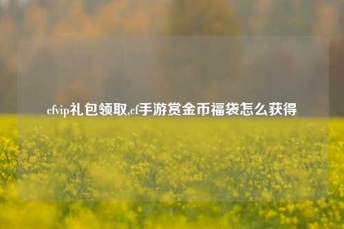 cfvip礼包领取,cf手游赏金币福袋怎么获得