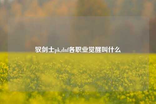 驭剑士pk,dnf各职业觉醒叫什么