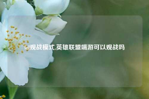 lol观战模式,英雄联盟端游可以观战吗