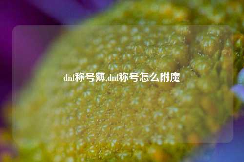 dnf称号薄,dnf称号怎么附魔