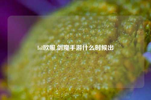 lol欧服,剑魔手游什么时候出