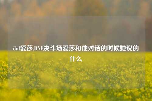 dnf爱莎,DNF决斗场爱莎和他对话的时候她说的什么