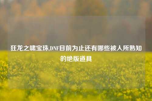 狂龙之啸宝珠,DNF目前为止还有哪些被人所熟知的绝版道具