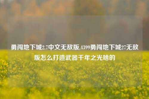 勇闯地下城2.7中文无敌版,4399勇闯地下城27无敌版怎么打造武器千年之光啥的