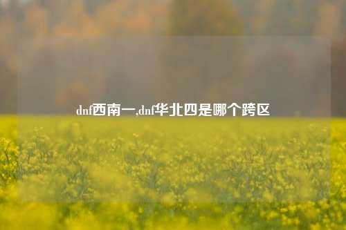 dnf西南一,dnf华北四是哪个跨区