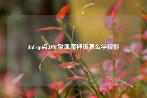 dnf qp点,DNF狱血魔神该怎么学技能