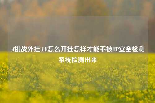 cf挑战外挂,CF怎么开挂怎样才能不被TP安全检测系统检测出来