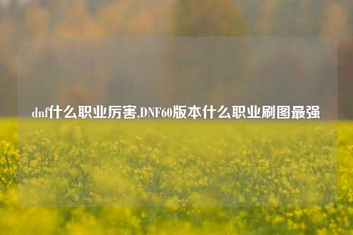 dnf什么职业厉害,DNF60版本什么职业刷图最强