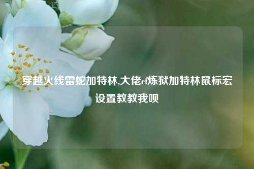 穿越火线雷蛇加特林,大佬cf炼狱加特林鼠标宏设置教教我呗