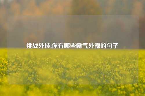 挑战外挂,你有哪些霸气外露的句子