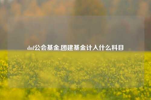 dnf公会基金,团建基金计入什么科目