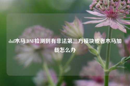 dnf木马,DNF检测到有非法第三方模块或者木马加载怎么办