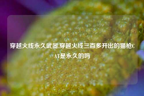 穿越火线永久武器,穿越火线三百多开出的猫枪CAT是永久的吗