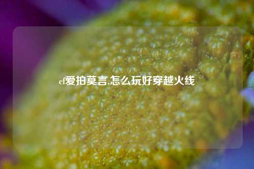 cf爱拍莫言,怎么玩好穿越火线