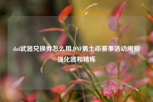 dnf武器兑换券怎么用,DNF勇士币赛事活动阉割强化器和精炼