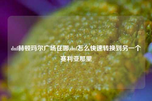 dnf赫顿玛尔广场在哪,dnf怎么快速转换到另一个赛利亚那里