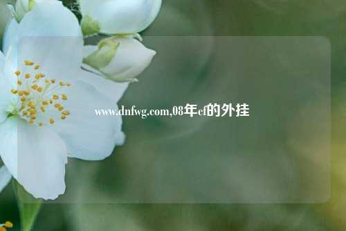 www.dnfwg.com,08年cf的外挂