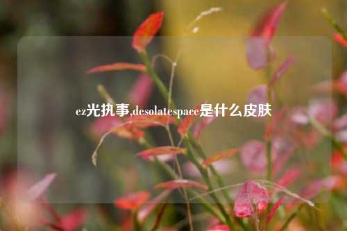 ez光执事,desolatespace是什么皮肤