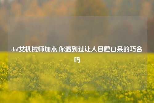 dnf女机械师加点,你遇到过让人目瞪口呆的巧合吗