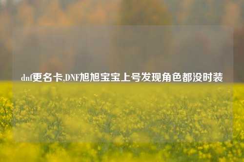 dnf更名卡,DNF旭旭宝宝上号发现角色都没时装