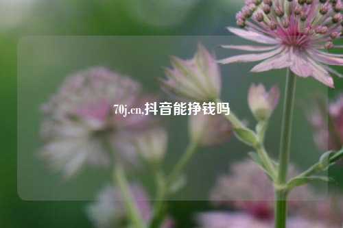 70j.cn,抖音能挣钱吗