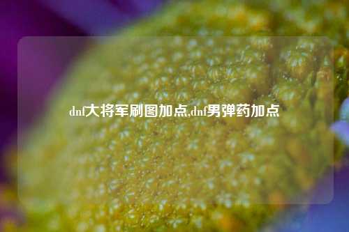 dnf大将军刷图加点,dnf男弹药加点