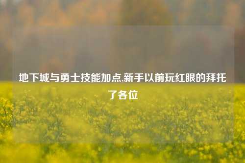 地下城与勇士技能加点,新手以前玩红眼的拜托了各位