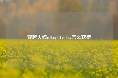 穿越火线cdkey,CFcdkey怎么获得