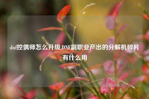 dnf控偶师怎么升级,DNF副职业产出的分解机碎片有什么用