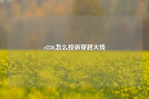 cf230,怎么投诉穿越火线