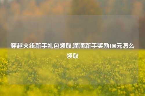 穿越火线新手礼包领取,滴滴新手奖励100元怎么领取