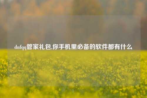 dnfqq管家礼包,你手机里必备的软件都有什么