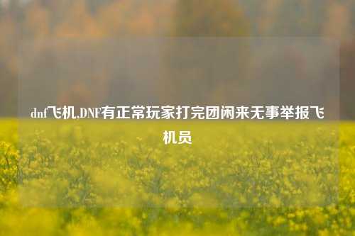 dnf飞机,DNF有正常玩家打完团闲来无事举报飞机员