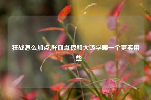 狂战怎么加点,鲜血爆掠和大吸学哪一个更实用一些