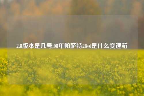 2.8版本是几号,08年帕萨特28v6是什么变速箱