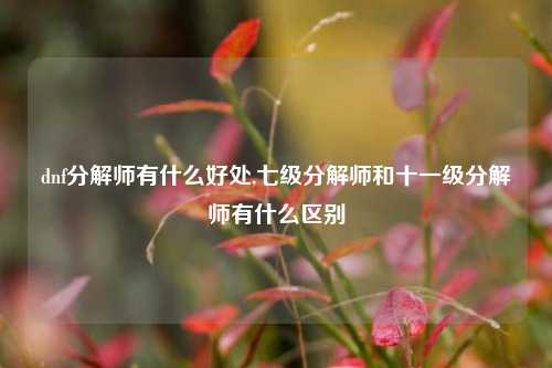 dnf分解师有什么好处,七级分解师和十一级分解师有什么区别