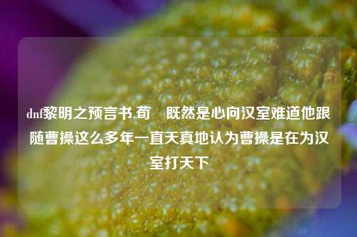 dnf黎明之预言书,荀彧既然是心向汉室难道他跟随曹操这么多年一直天真地认为曹操是在为汉室打天下