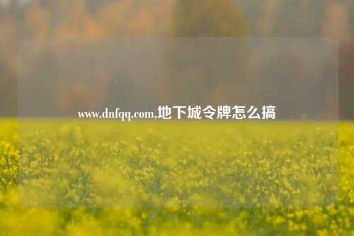 www.dnfqq.com,地下城令牌怎么搞