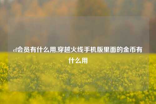 cf会员有什么用,穿越火线手机版里面的金币有什么用