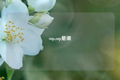 sup,sup是谁