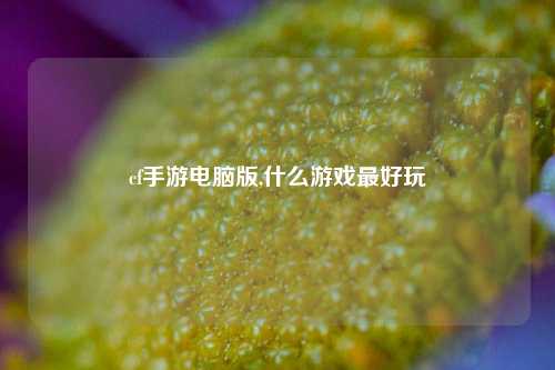 cf手游电脑版,什么游戏最好玩