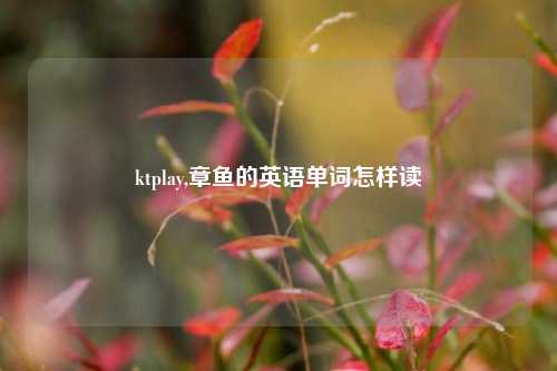 ktplay,章鱼的英语单词怎样读