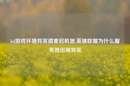 lol游戏环境异常请重启机器,英雄联盟为什么服务器出现异常