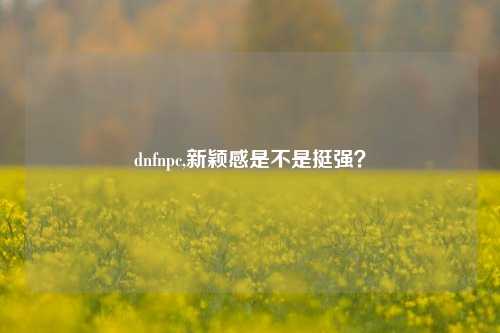 dnfnpc,新颖感是不是挺强？