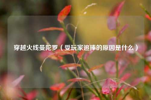 穿越火线曼陀罗（受玩家追捧的原因是什么）