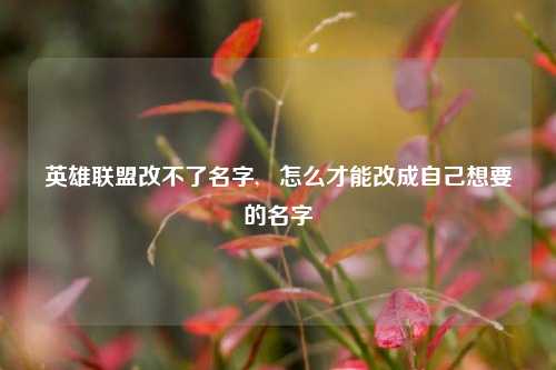 英雄联盟改不了名字,   怎么才能改成自己想要的名字