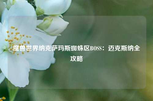 魔兽世界纳克萨玛斯蜘蛛区BOSS：迈克斯纳全攻略