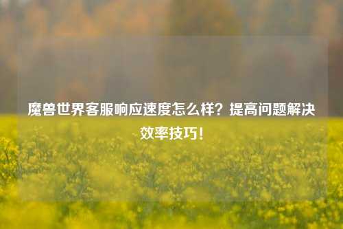魔兽世界客服响应速度怎么样？提高问题解决效率技巧！