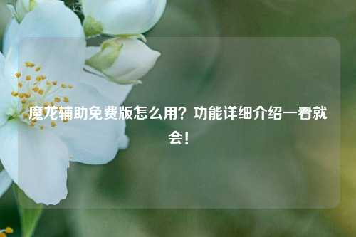 魔龙辅助免费版怎么用？功能详细介绍一看就会！